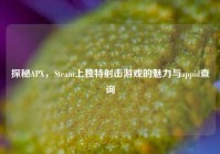 探秘APX，Steam上独特射击游戏的魅力与appid查询