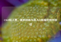 CSGO蛙人男，虚拟战场与真人CS蛙服的独特联结