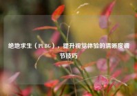 绝地求生（PUBG），提升视觉体验的清晰度调节技巧