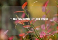 王者荣耀扁鹊的最佳分路策略探寻