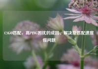 CSGO匹配，高PING困扰的成因、解决及匹配速度慢问题