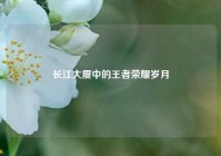长江大厦中的王者荣耀岁月
