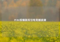 PUBG惊爆新瓜引电竞圈波澜