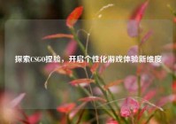 探索CSGO捏脸，开启个性化游戏体验新维度