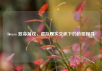 Steam 致命游戏，虚拟现实交织下的价格探寻