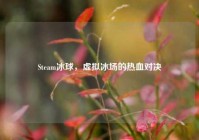 Steam冰球，虚拟冰场的热血对决