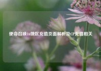 使命召唤16俄区充值页面解析及CP充值相关