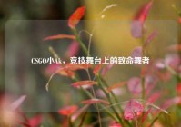 CSGO小Ak，竞技舞台上的致命舞者