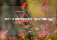 探寻王者荣耀八神高清照片背后的神秘传说