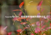 Gamebit与CSGO，竞技游戏领域的奇妙交汇
