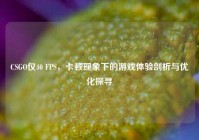 CSGO仅40 FPS，卡顿现象下的游戏体验剖析与优化探寻
