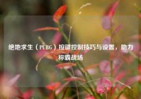 绝地求生（PUBG）按键控制技巧与设置，助力称霸战场