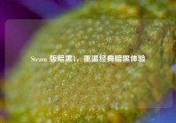Steam 版暗黑4，重温经典暗黑体验