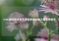PUBG竞技现状及天津格林国际幼儿园学费相关