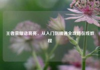 王者荣耀诸葛亮，从入门到精通全攻略在线教程