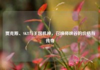 贾克斯、SKT与王国机神，召唤师峡谷的价格与传奇