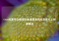 CSGO完美平台掉线后快速重连方法及连不上问题解决
