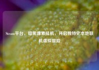 Steam平台，暗黑像素挂机，开启独特史本地联机虚拟冒险