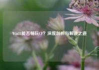 Win11能否畅玩CF？深度剖析与解决之道
