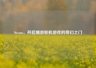 Steam，开启端游联机游戏的奇幻之门