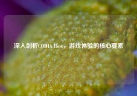 深入剖析COD16 Host，游戏体验的核心要素