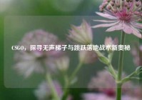 CSGO，探寻无声梯子与跳跃落地战术新奥秘