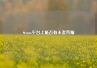 Steam平台上是否有王者荣耀