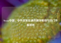 Steam中国，中外玩家互通的数字枢纽与热门外服游戏