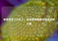 绝地求生（PUBG），迈向胜利的意识训练进阶之路
