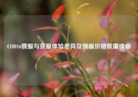 COD16俄服与亚服体验差异及俄服价格低廉缘由