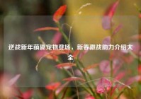 逆战新年萌趣宠物登场，新春激战助力介绍大全
