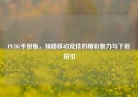 PUBG手游版，领略移动竞技的精彩魅力与下载指引