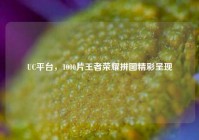 UC平台，1000片王者荣耀拼图精彩呈现