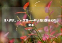 深入探究，PUBG客服——解决游戏困扰的有力助手