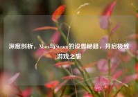 深度剖析，Xbox与Steam的设置秘籍，开启极致游戏之旅