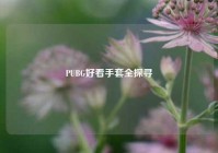 PUBG好看手套全探寻