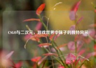 CSGO与二次元，游戏世界中妹子的独特风采