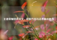 王者荣耀回声符文，获取方式与法术输出助力
