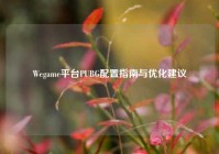 Wegame平台PUBG配置指南与优化建议