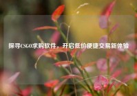探寻CSGO求购软件，开启低价便捷交易新体验