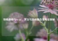 特级厨师与Steam，烹饪与游戏融合及考证探秘
