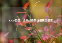 CSGO装备，虚拟战场的价值瑰宝鉴赏
