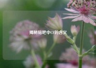 揭秘贴吧中CF的含义