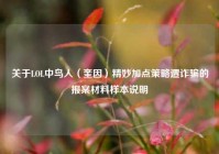 关于LOL中鸟人（奎因）精妙加点策略遭诈骗的报案材料样本说明