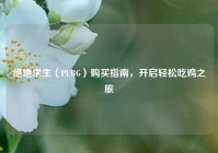 绝地求生（PUBG）购买指南，开启轻松吃鸡之旅