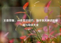 王者荣耀，100条意识技巧，新手到大神进阶秘籍与知识大全