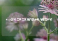 Steam游戏启动后黑屏问题排查与原因解析