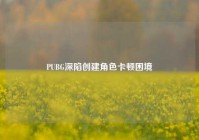 PUBG深陷创建角色卡顿困境