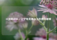CF沈阳战队，辽宁电竞舞台上的昔日雄狮