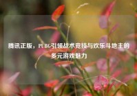 腾讯正版，PUBG引领战术竞技与欢乐斗地主的多元游戏魅力